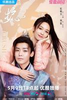 陆剧《护心》全集高清免费在线观看